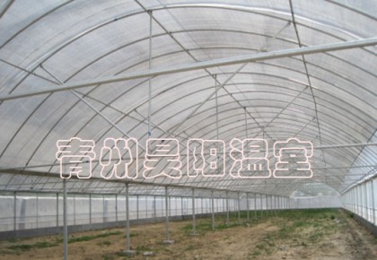 雙拱雙膜溫室